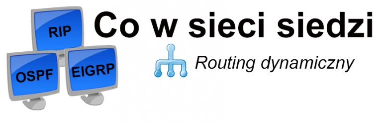 Co w sieci siedzi. Routing dynamiczny.
